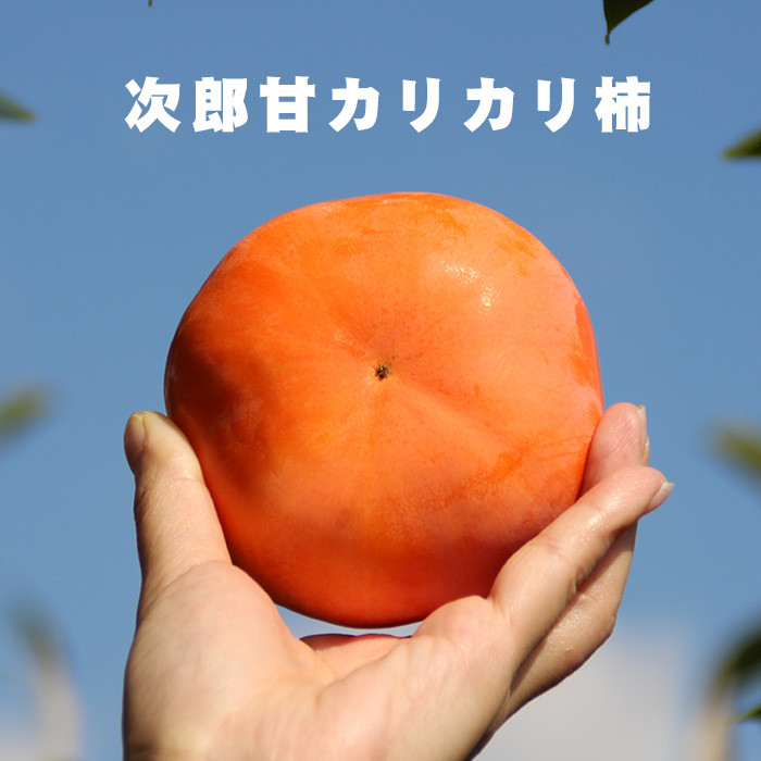 池见 现摘现发  次郎甜脆柿子水果柿 自然成熟巧克力柿子脆甜爽口