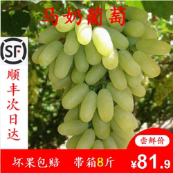 白马奶葡萄宣化牛奶葡萄新鲜当季水果整箱8斤顺丰空运非无籽青提