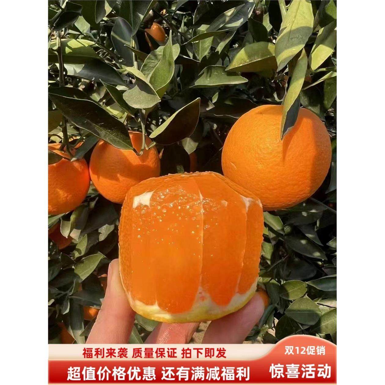 湖北九月红果冻橙 秭归脐橙现摘时令新鲜水果爆汁柑橘甜,包装,水果包装,淘宝优惠券,粉丝福利购,淘宝优惠卷