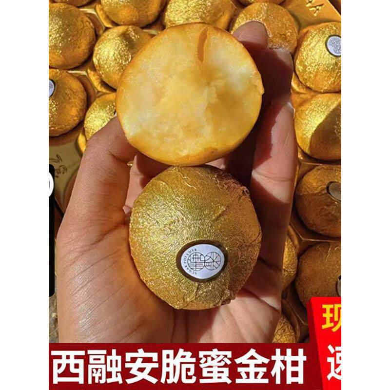广西融安（脆蜜金柑）第三代大果脆蜜金桔纯甜独立装糖聚顺丰包邮