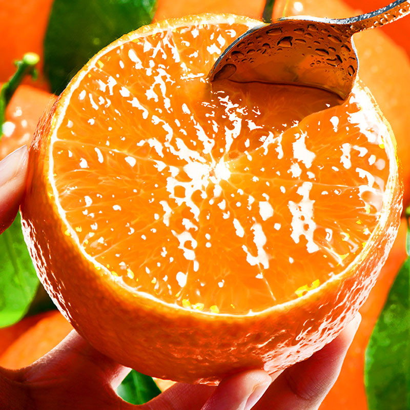 爱媛38号果冻橙橙子大果特产果园现摘发爱缓圆援园暖瑗嫒源爰水果