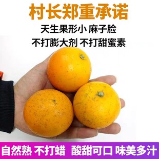 湖南黔阳冰糖橙5斤包邮新鲜水果现摘香甜爆汁当季不酸手剥橙