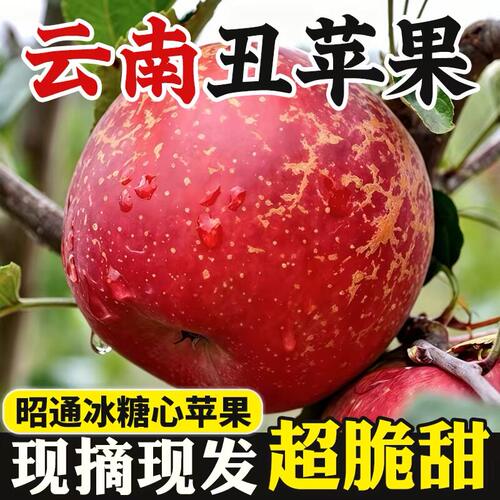 2026云南昭通农家自种苹果富士冰糖心丑苹果当季新鲜水果整箱包邮