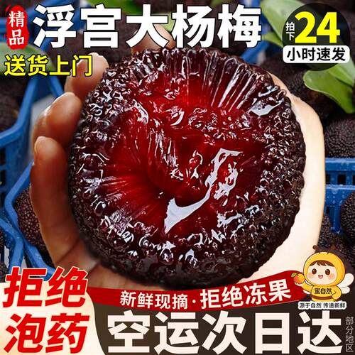 顺丰空运浮宫杨梅鲜果漳州现摘现发福建新鲜水果东孕妇魁仙大果居