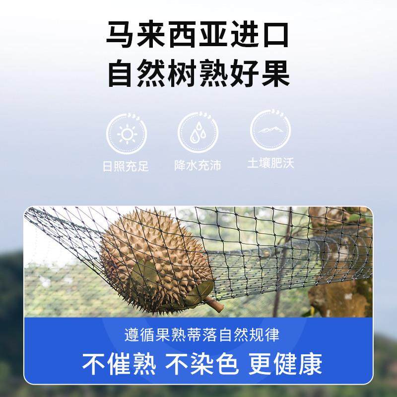 马来西亚进口D24苏丹王榴莲液氮新鲜水果整果包邮