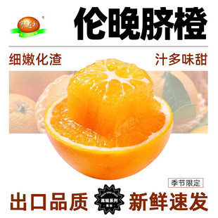 【新鲜速发】正宗湖北秭归伦晚脐橙冰糖果冻橙新鲜手剥橙子甜橙