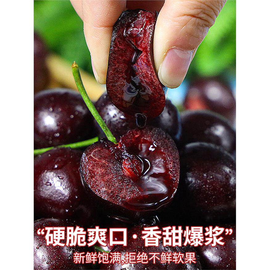 顺丰空运 5斤5j美国车厘子新鲜水果当季孕妇高端樱桃礼盒整箱