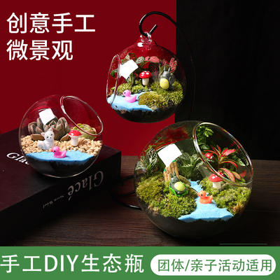 微景观生态瓶多肉植物diy材料