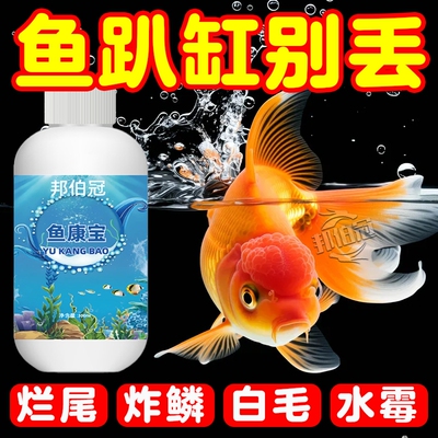 急救鱼病专用药杀菌消炎