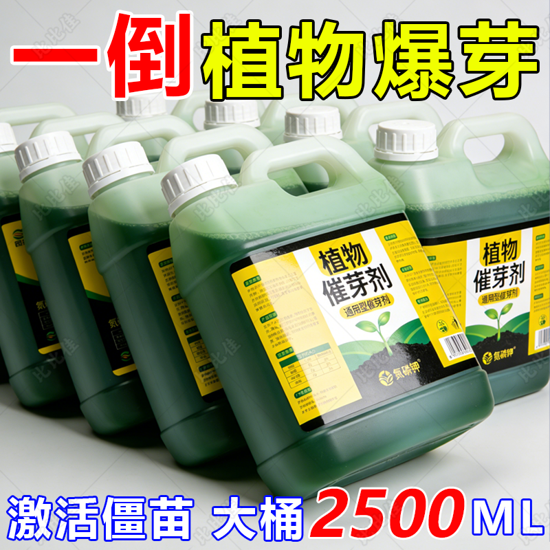 植物催芽剂老桩发芽生物肥生根壮苗月季三角梅发财树通用水溶肥料,鲜花速递/花卉仿真/绿植园艺,家庭园艺肥料,淘宝优惠券,粉丝福利购,淘宝优惠卷