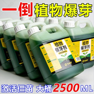 植物催芽剂老桩发芽生物肥生根壮苗月季三角梅发财树通用水溶肥料