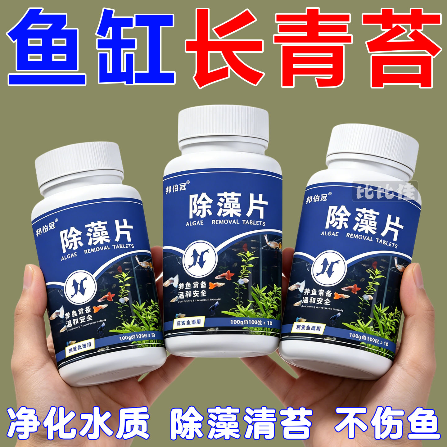 鱼缸鱼池除藻片剂去苔剂净青苔水藻清除剂去除神器绿藻专用水质