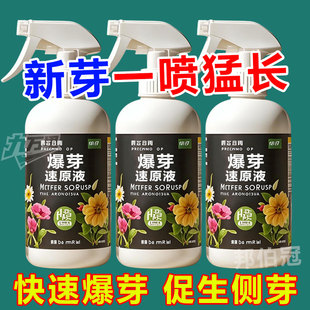 爆芽速原液多芽促芽催芽分化叶插花植物多肉绿植盆栽通用型营养液