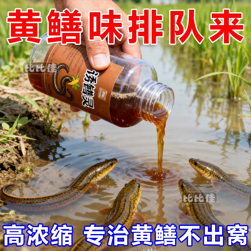 【高浓度】黄鳝灵小药诱食剂浓腥黄鳝鳝鱼钓甲鱼诱黄鳝专用诱食