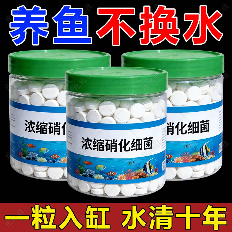 硝化细菌鱼缸专用净水活菌干粉胶囊养鱼水族消化浓缩粪便水质清澈