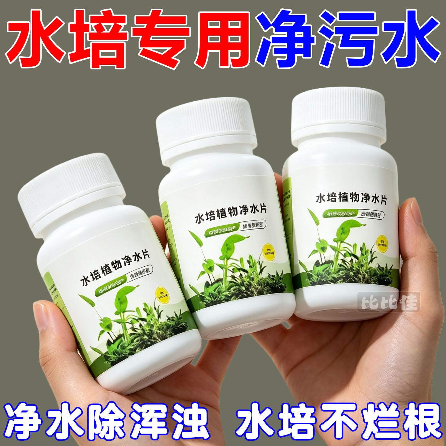 碗莲荷花净水片催芽睡莲开花黄叶叶面黑烂叶增肥水培绿植园艺肥料