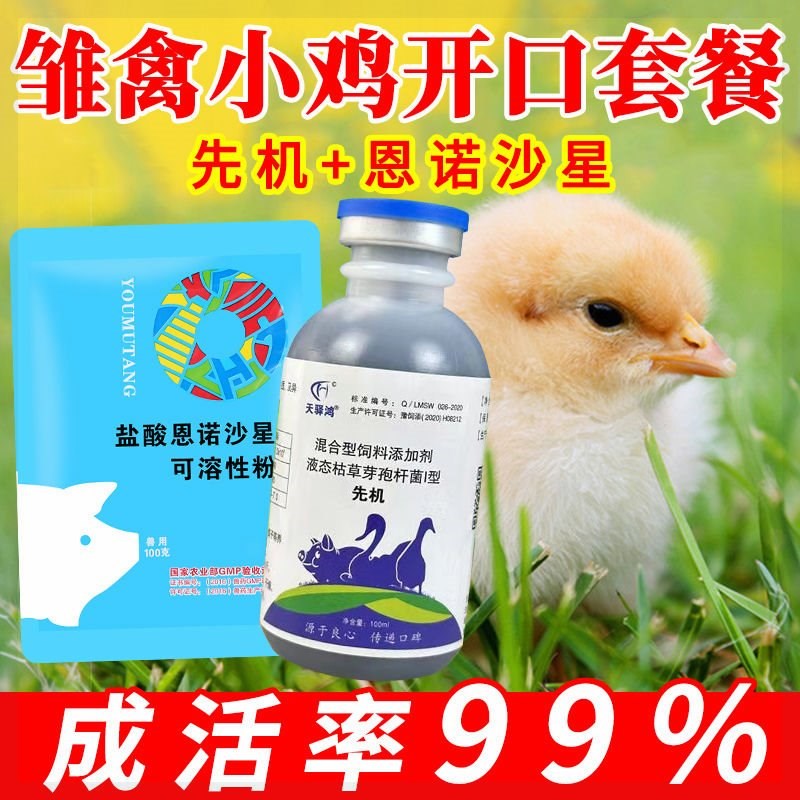 禽用鸡鸭鹅嗉囊胀气素囊炎腺肌胃炎饲料便吐水干吃不长养鸡专用