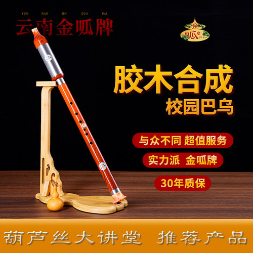 胶木合成校园巴乌F调G调