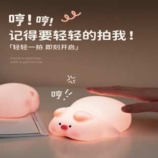 屁哥猪猪拍拍小夜灯送女生可爱男友实用 生日礼物解压情侣高级感
