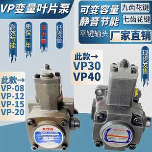 VP-20-FA3 液压油泵 变量叶片泵液压泵总成VP-30-FA3液压站泵头