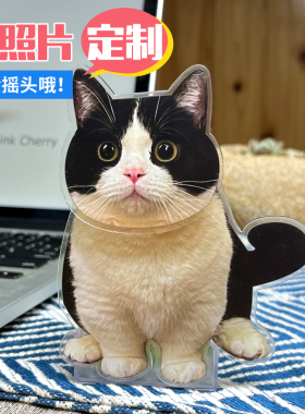 猫咪宠物摇头桌面摆件定制车载情绪稳定汽车摇摇乐治愈系礼物情侣