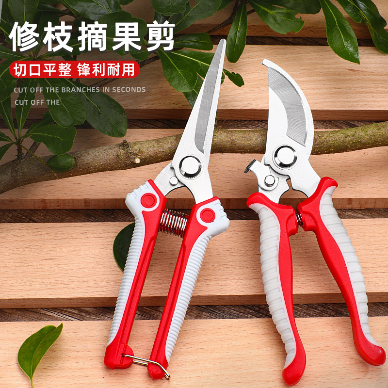 不锈钢园艺剪刀修枝剪园林修剪树枝果树专用工具采摘葡萄蔬果