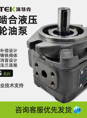海特克HG1-63-01R-VPC内啮合伺服油泵HG0 CP0-8/16/20/32 HG2-1