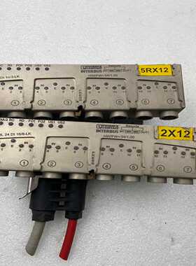 菲尼克斯IBS RL 24 DI 16/8-LK,一共31个