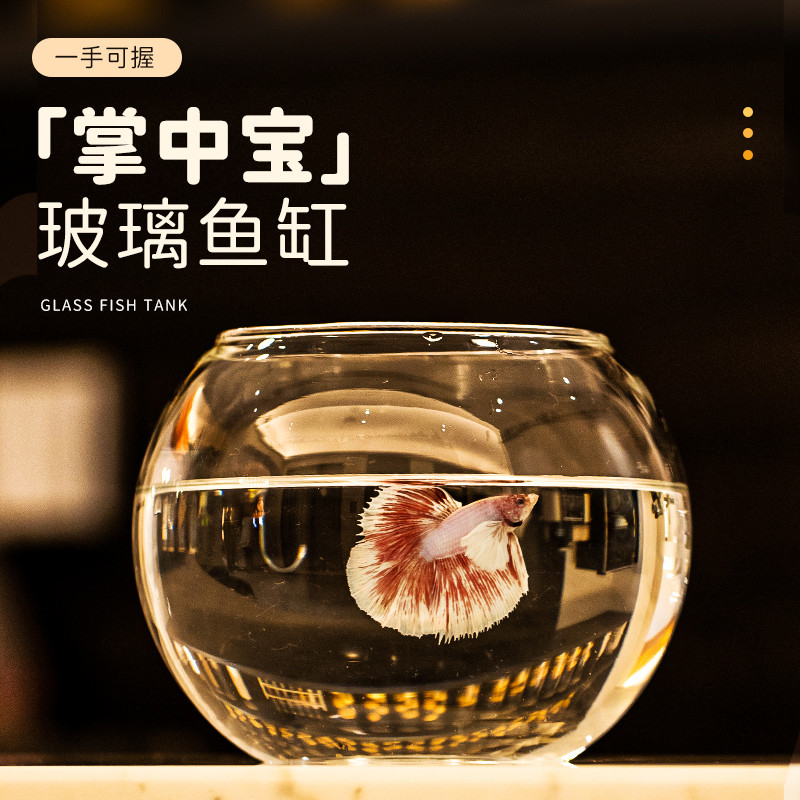 鱼缸圆形透明玻璃客厅家用小型金鱼斗鱼乌龟缸艺术迷你办公室