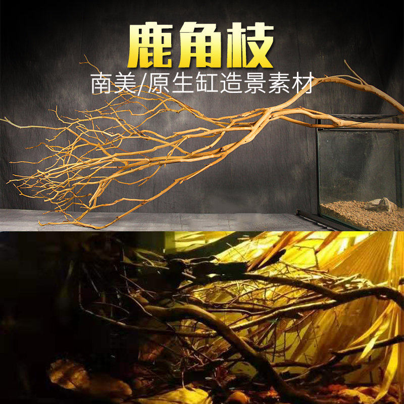 南美缸造景沉木鹿角枝大型树根树干树枝森林枯木天然布景装饰