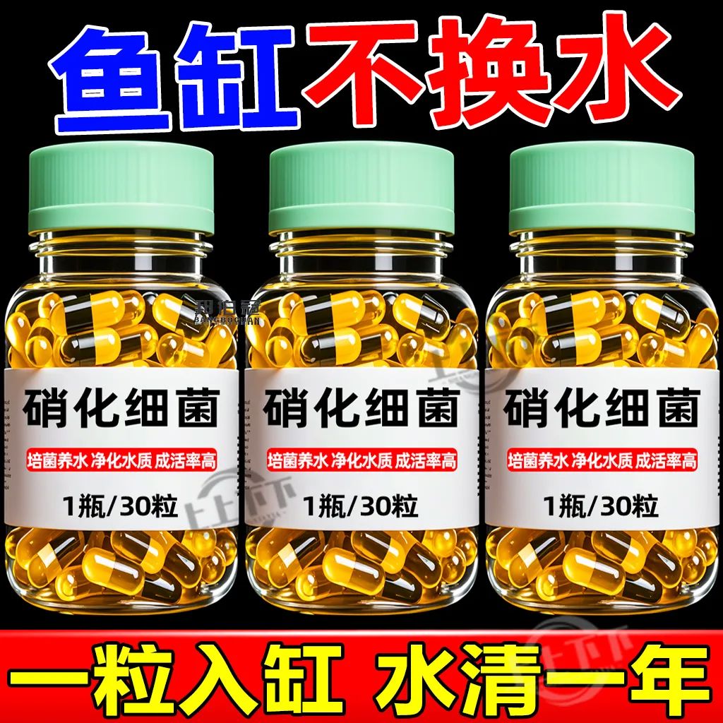 硝化细菌鱼缸用专用胶囊净水剂颗粒活菌干粉水质稳定净化水族