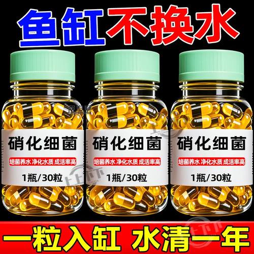 硝化细菌鱼缸用专用胶囊净水剂颗粒活菌干粉水质稳定净化水族