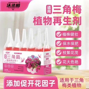 三角梅植物再生剂免稀释营养液绿植花卉盆栽家庭园艺肥料水溶肥料