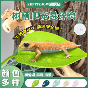 爬宠饲养缸悬浮窝吸盘仿真植物躲避攀爬树栖造景睫角守宫树蛙