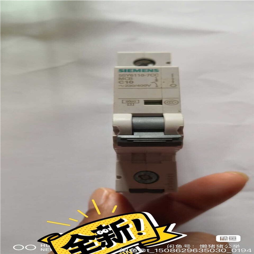5SY6110-7CC  1P10A~询价