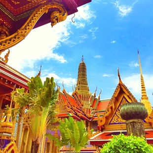 泰国入境卡填写