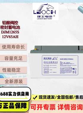 理士蓄电池12V65AH DJM1265S 铅酸免维护UPS不间断电源直流屏全新