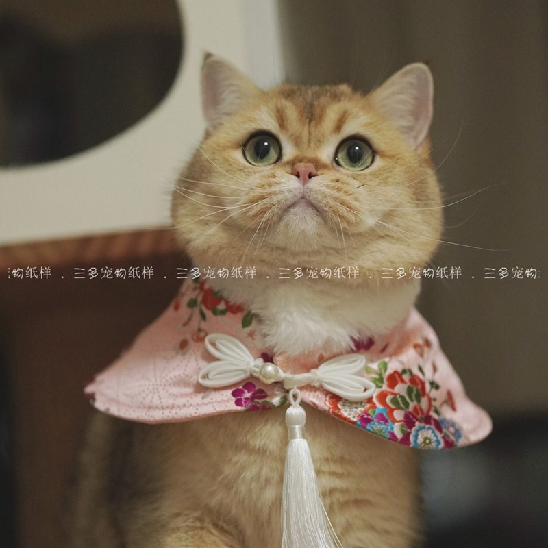 宠物中国风斗篷纸样披肩猫咪狗狗复古围脖图纸脖套披风颈圈样版