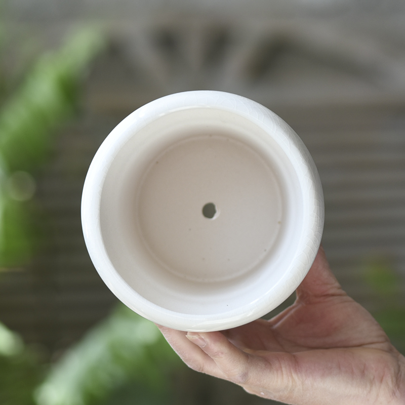 多肉花盆陶瓷老桩粗陶盆栽透气大植物家用简约绿植文竹米竹兰花盆