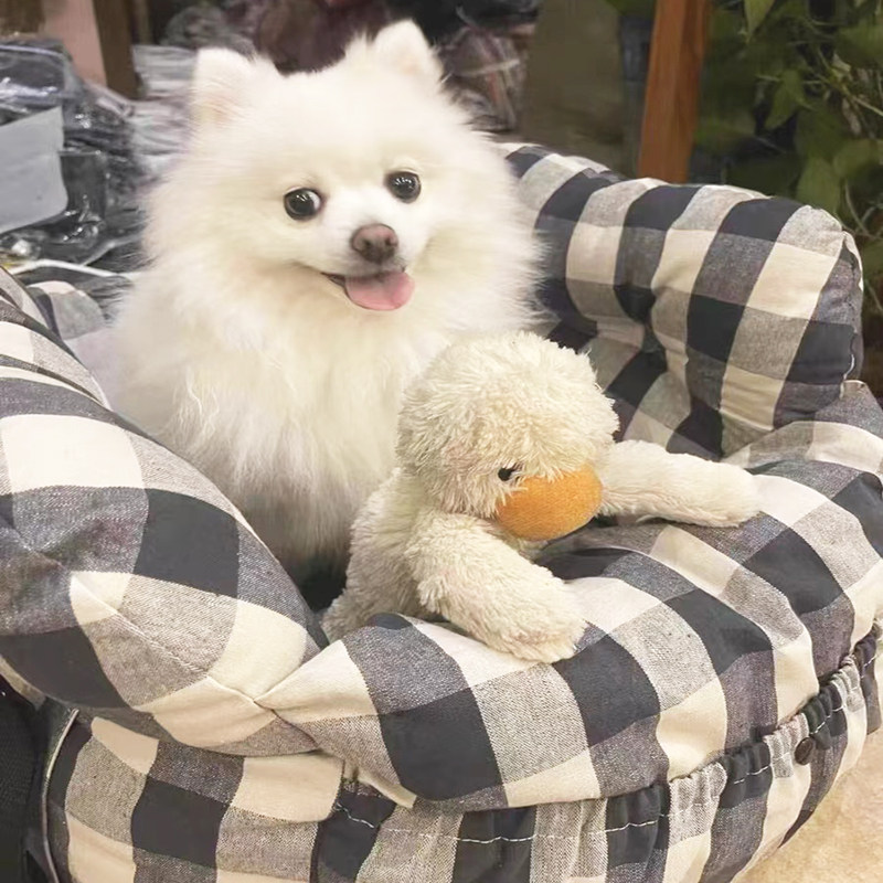 宠物车载窝猫窝狗窝外出户外安全座椅中小型狗窝坐垫车载坐车神器,宠物/宠物食品及用品,猫窝/屋/帐篷/沙发,淘宝优惠券,粉丝福利购,淘宝优惠卷