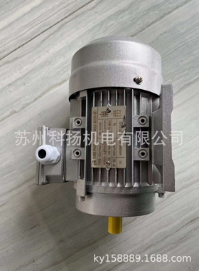 THREE-PHASE ASYNCHRONOUS MOTOR电机YE3-71M2-4  0.37KW 380V