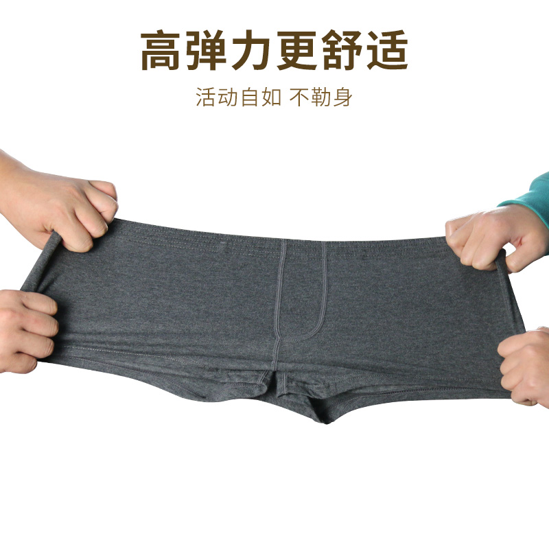 男士内裤男纯棉四角宽松红色本命年虎冬季舒适阿罗裤大码平角短裤
