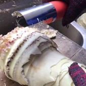 老工匠电动剥笋机两用不锈钢刮刨笋削笋皮工具全自动家用神器防水