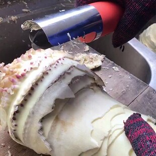 老工匠电动剥笋机两用不锈钢刮刨笋削笋皮工具全自动家用神器防水