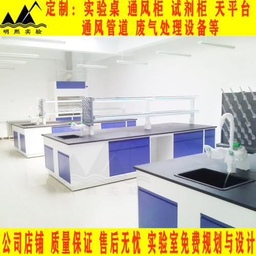 全钢实验室实验台化验室工作台实验桌PP钢木中央台边台试验操作台