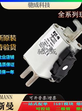 巴斯曼170M4974 170M4980 170M4981 现货直销价优 快速保险丝