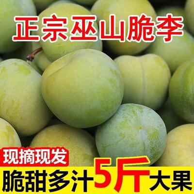 重庆巫山脆李脱骨李子四川5斤新鲜水果当季整箱水果青脆李半边红W