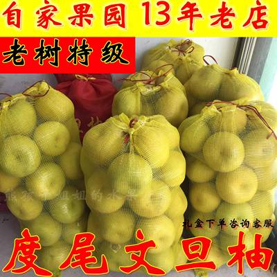 正宗福建莆田仙游度尾红心文旦柚非台湾麻豆蜜柚子-特级30+年老树