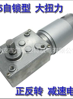 行业推荐WGM-550  555涡轮蜗杆减速电机  12V 24V