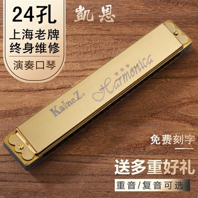 凯恩24孔复音重音口琴初学者高级专业演奏级C调/A/D/E/F/G/降b调